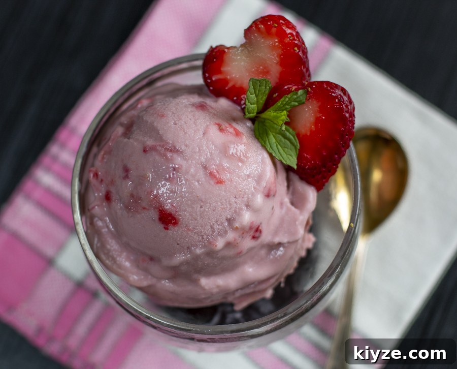 13 Rhubarb Recipes + New Gluten-Free Rhubarb Scones with Glaze 14 Scooped Vegan Strawberry Rhubarb “Ice Cream”
