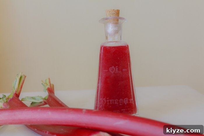 13 Rhubarb Recipes + New Gluten-Free Rhubarb Scones with Glaze 10 Homemade Rhubarb Vinegar