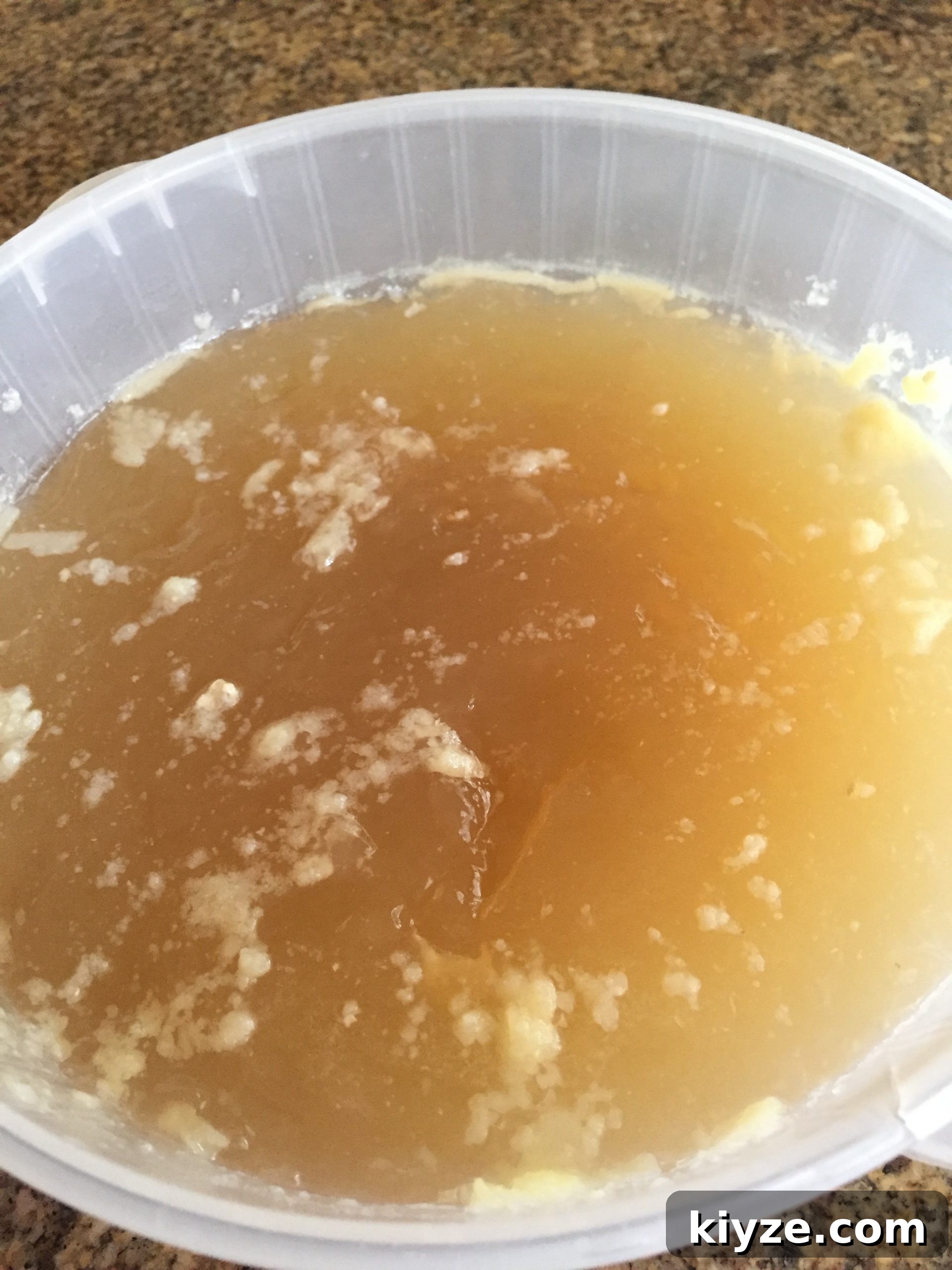 Cooled chicken broth with skimmed fat layer