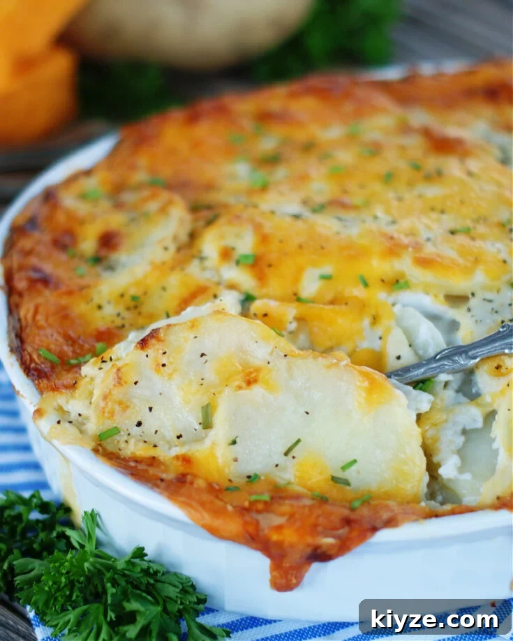 Rich cream sauce and a topping of cheese make a delicious scalloped potatoes side dish.