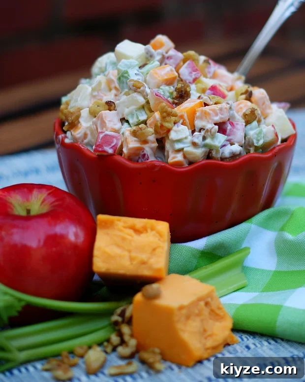 Diced apples, cheddar cheese, celery and walnuts combine to make a simple salad.