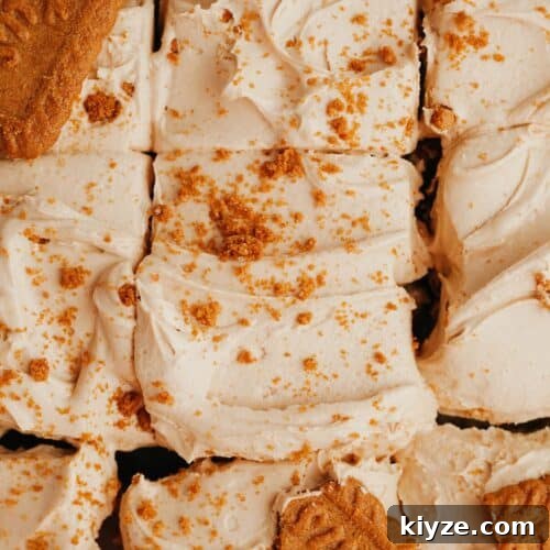 A close up of Biscoff buttercream, sprinkled with Biscoff cookie crumbs.