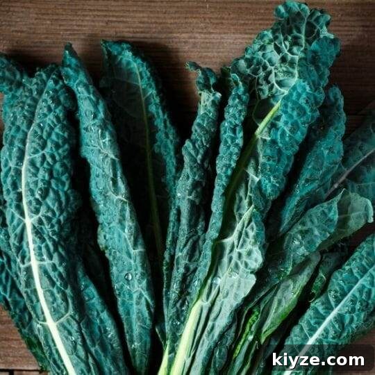 lacinato or dinasour kale
