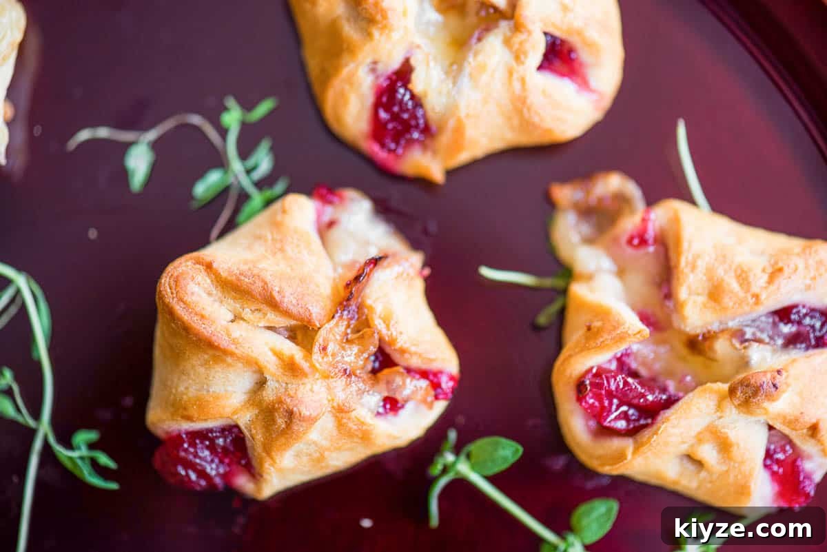 Cranberry and Brie Bites: Festive Holiday Appetizer Recipe 6 cranberry brie 3-ingredient appetizers