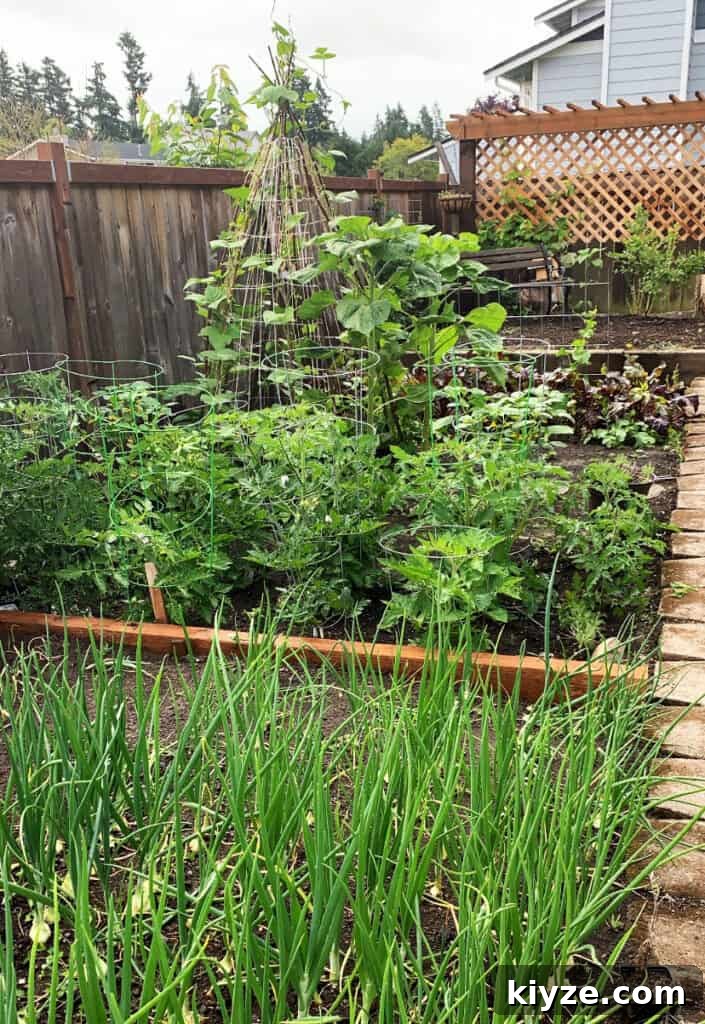 14 Garden Benefits That Will Inspire You to Start One Today 2 Backyard garden on my half acre property in the suburbs. Tomato, onions, green beans and beets.