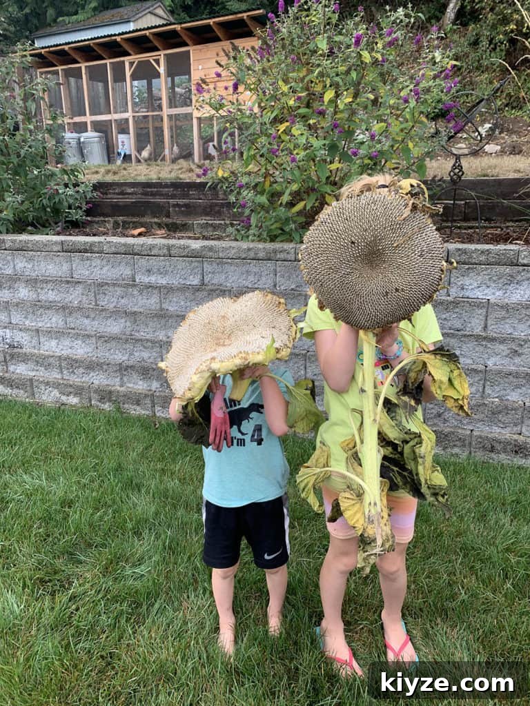14 Garden Benefits That Will Inspire You to Start One Today 14 Kids holing gigantic sunflower heads from our backyard garden.
