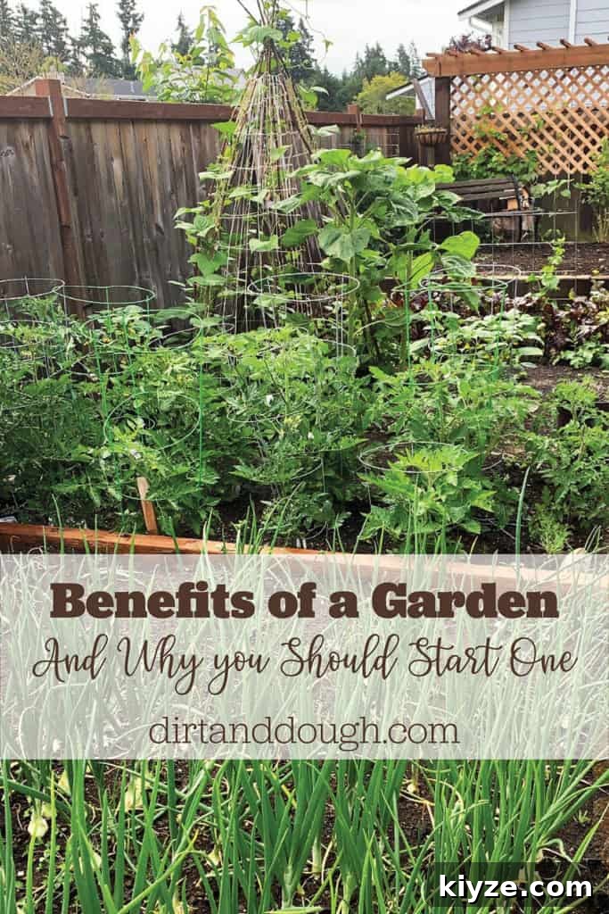 14 Garden Benefits That Will Inspire You to Start One Today 15 img 2319 16