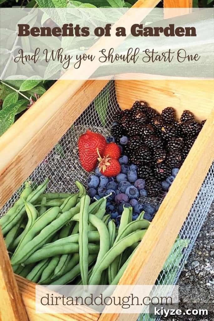 14 Garden Benefits That Will Inspire You to Start One Today 16 img 2319 17