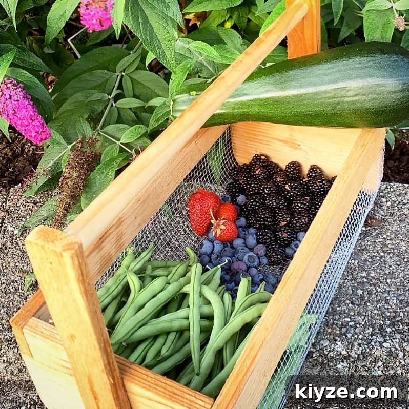 14 Garden Benefits That Will Inspire You to Start One Today 3 Fresh Homegrown produce from my garden. Green beans, blueberries, blackberries, strawberries and zucchini.