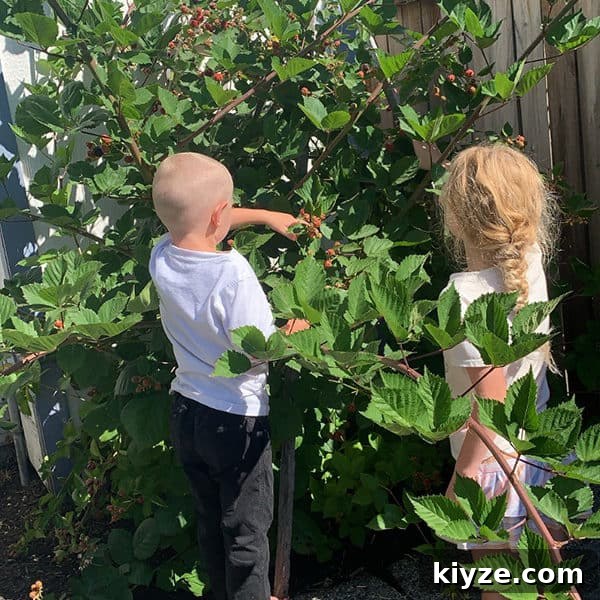 14 Garden Benefits That Will Inspire You to Start One Today 4 Kids picking and Eating Blackberries