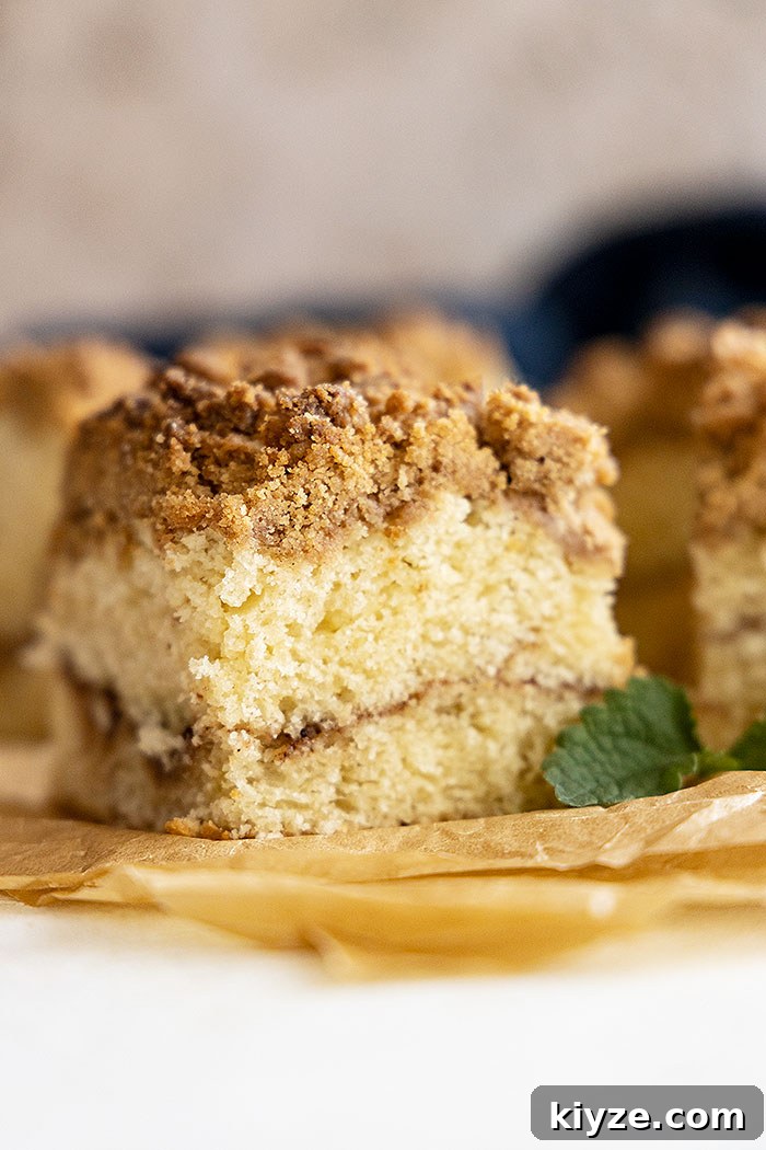 A piece of coffee cake showing the cinnamon middle and crumb topping.
