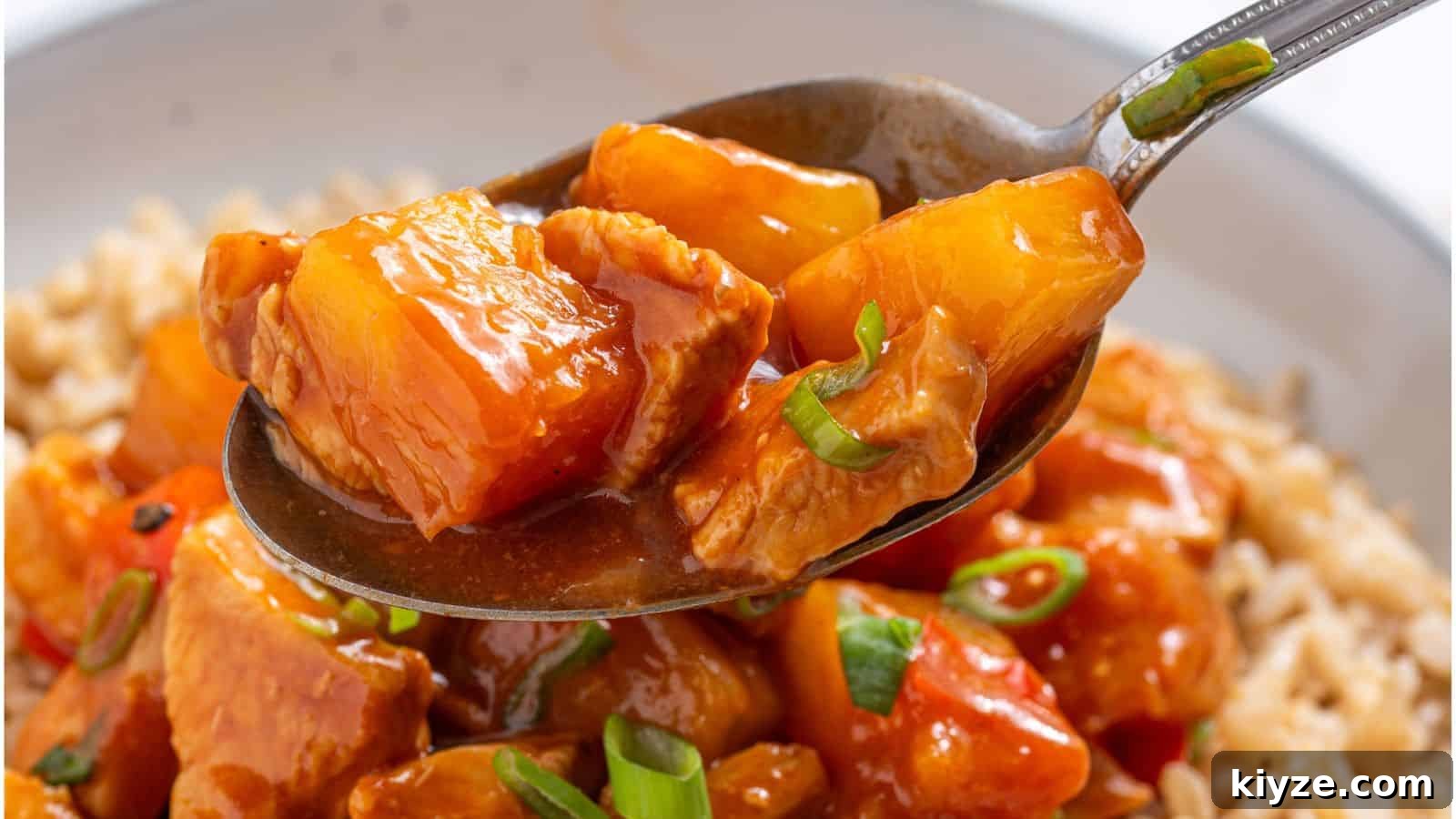 A bowl of rice and chicken in front of a crockpot.