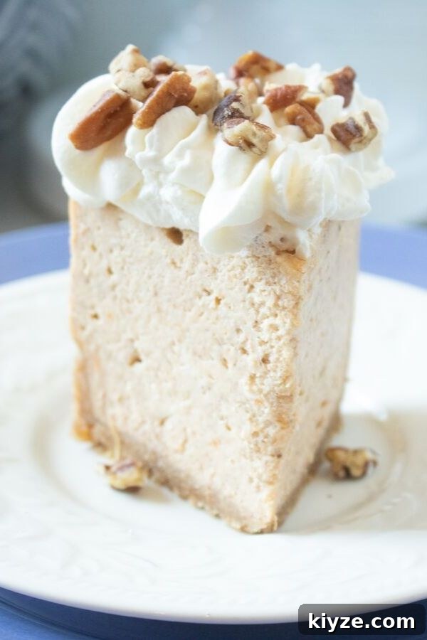 Sweet Potato Cheesecake sweet potato cheesecake recipe