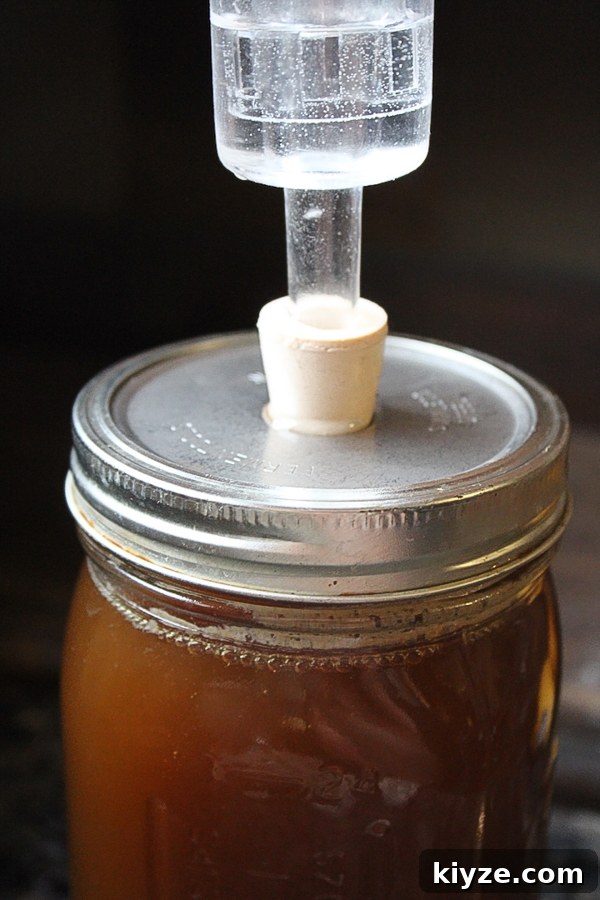 Small-Batch Birch Beer Recipe: How to Make Homemade Birch Beer 4 Fermenting birch syrup into birch beer