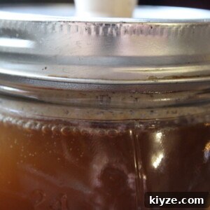 Small-Batch Birch Beer Recipe: How to Make Homemade Birch Beer 5 Homemade Birch Beer with Birch Sap or Birch Syrup