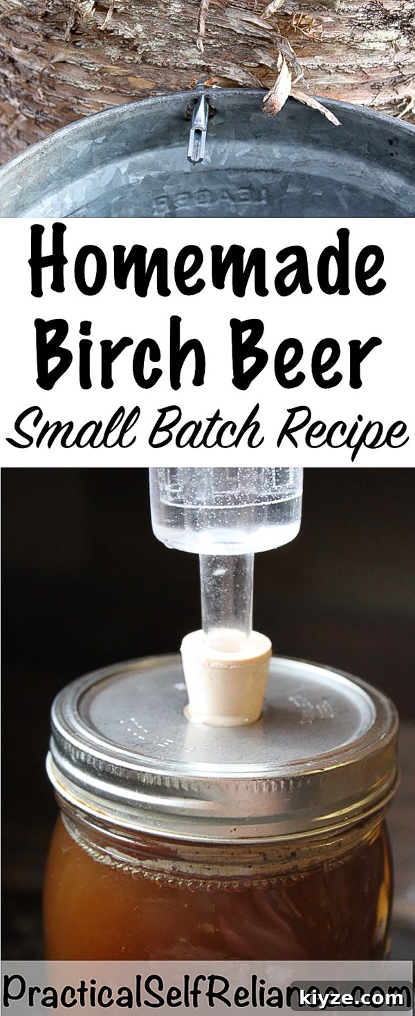 Small-Batch Birch Beer Recipe: How to Make Homemade Birch Beer 6 Homemade Birch Beer Recipe #birch #birchtree #forage #foraging #homebrew #homebrewing #beerrecipe