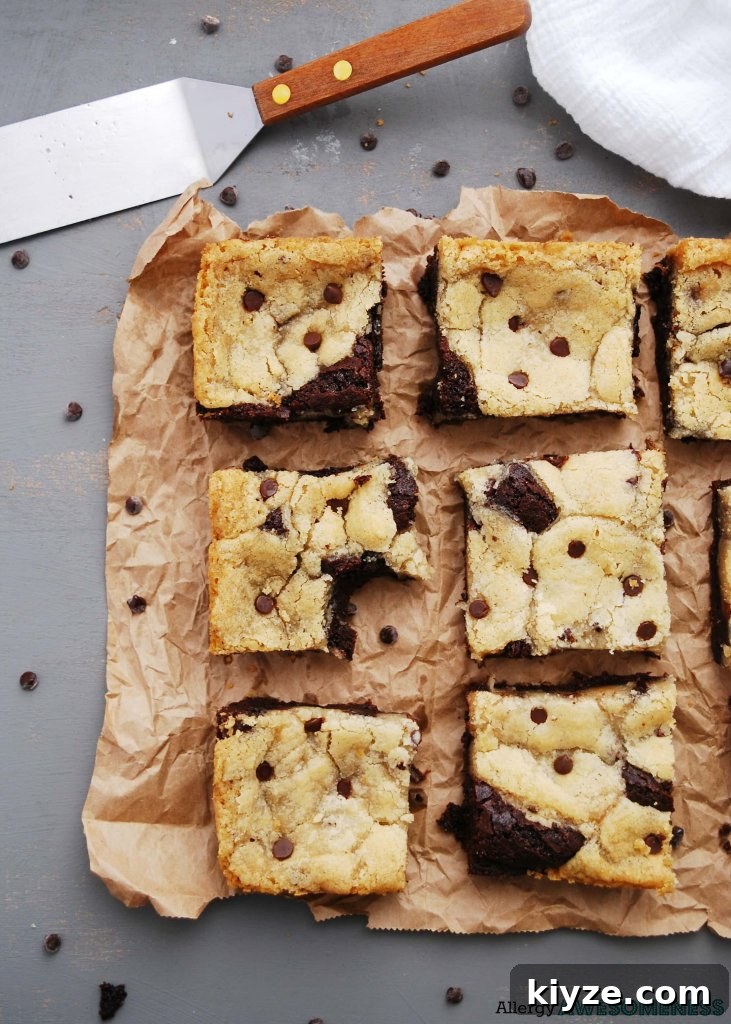 Chewy Gluten-Free Vegan Chocolate Chip Brookies 2 dairy-free-egg-free-brookies