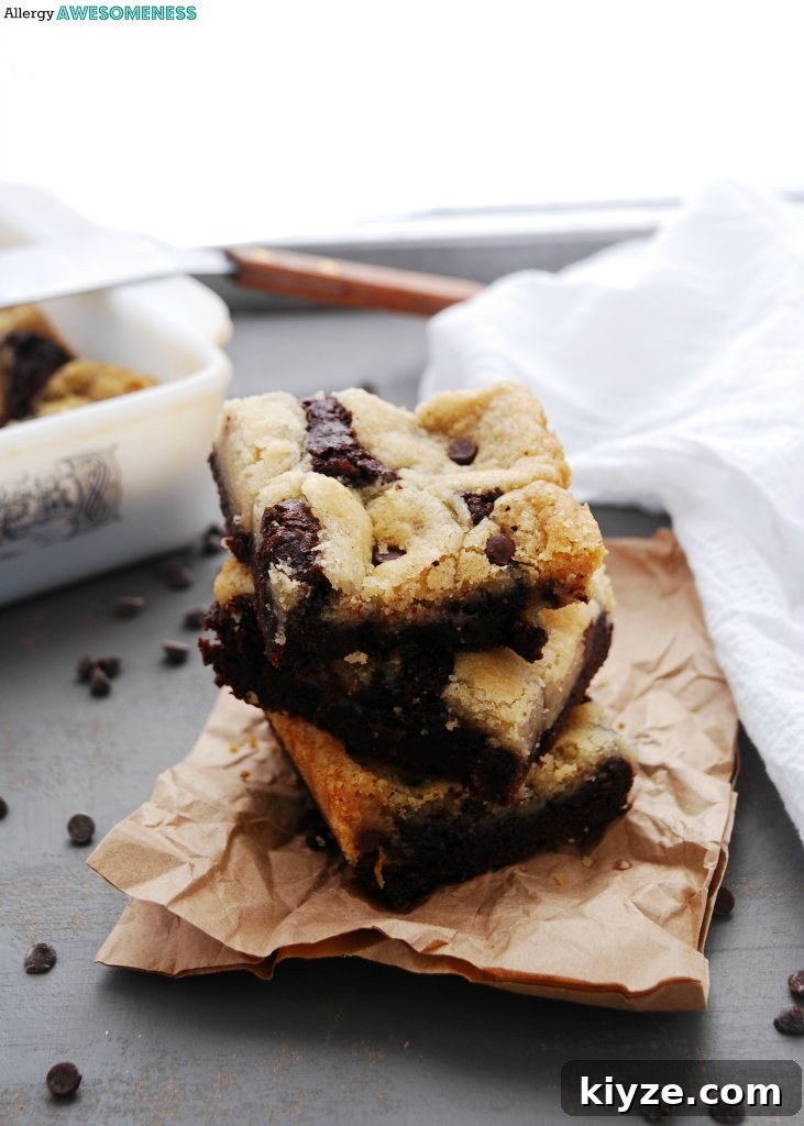 Chewy Gluten-Free Vegan Chocolate Chip Brookies 3 gluten-free-vegan-brookies