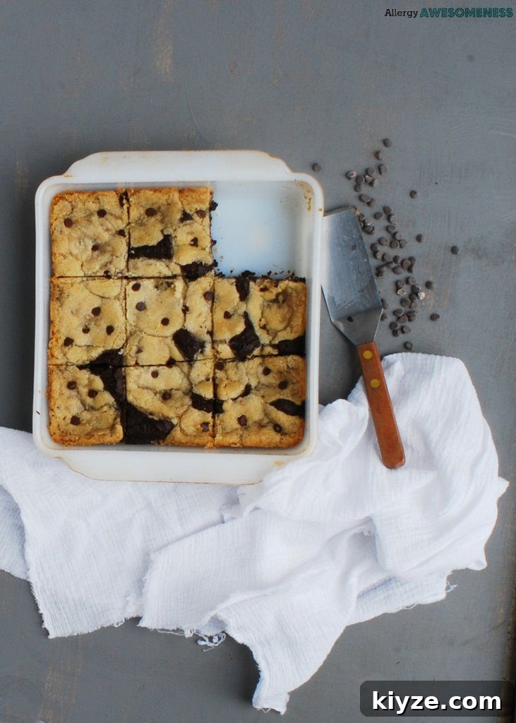 Chewy Gluten-Free Vegan Chocolate Chip Brookies 5 dairy-free-brookies