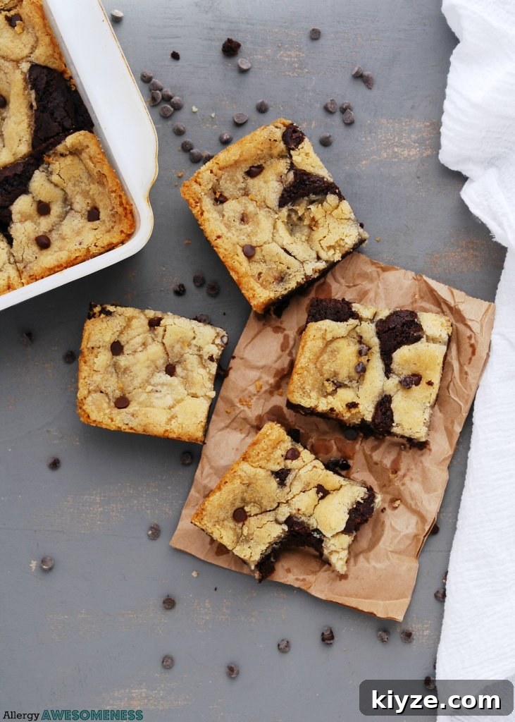 Chewy Gluten-Free Vegan Chocolate Chip Brookies 6 top-8-free-brookies