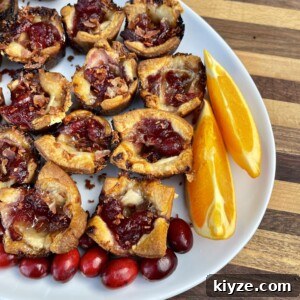 Crispy Grilled Brie Bites with Honey and Rosemary 12 Grilled Brie Bites