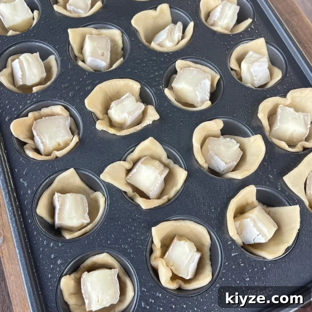 Crispy Grilled Brie Bites with Honey and Rosemary 7 Brie cubes and dough squares