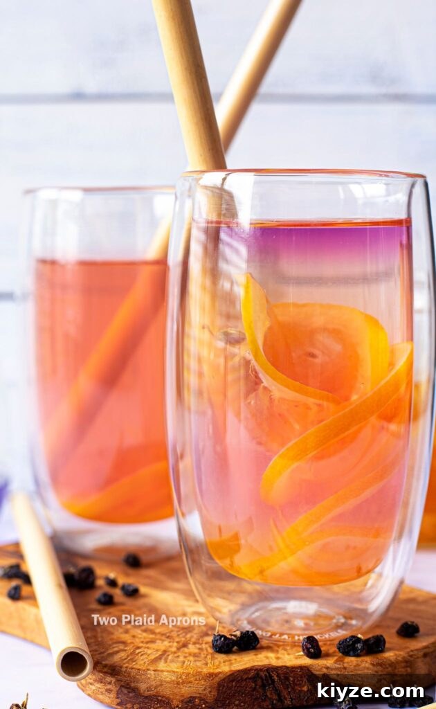 Pink Lemonade with Black Wolfberries: Refreshing Homemade Recipe 2 Two glasses of all natural pink lemonade with black wolfberry.