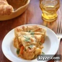 Coconut Curry Chicken Pot Pie Recipe for Creamy, Flavorful Comfort 2 img 3217 6
