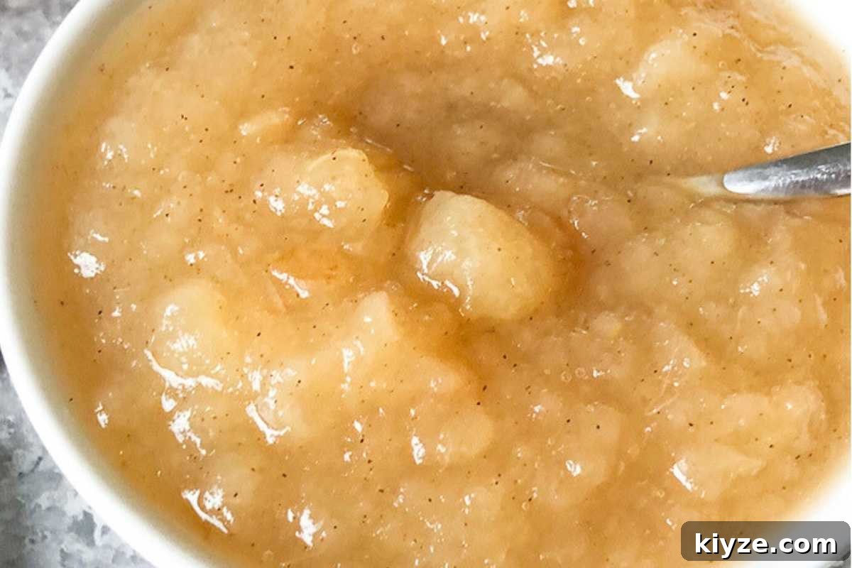 How to Make Homemade Applesauce from Fresh Apples 4 Blended and pureed applesauce after cooked in a slow cooker.