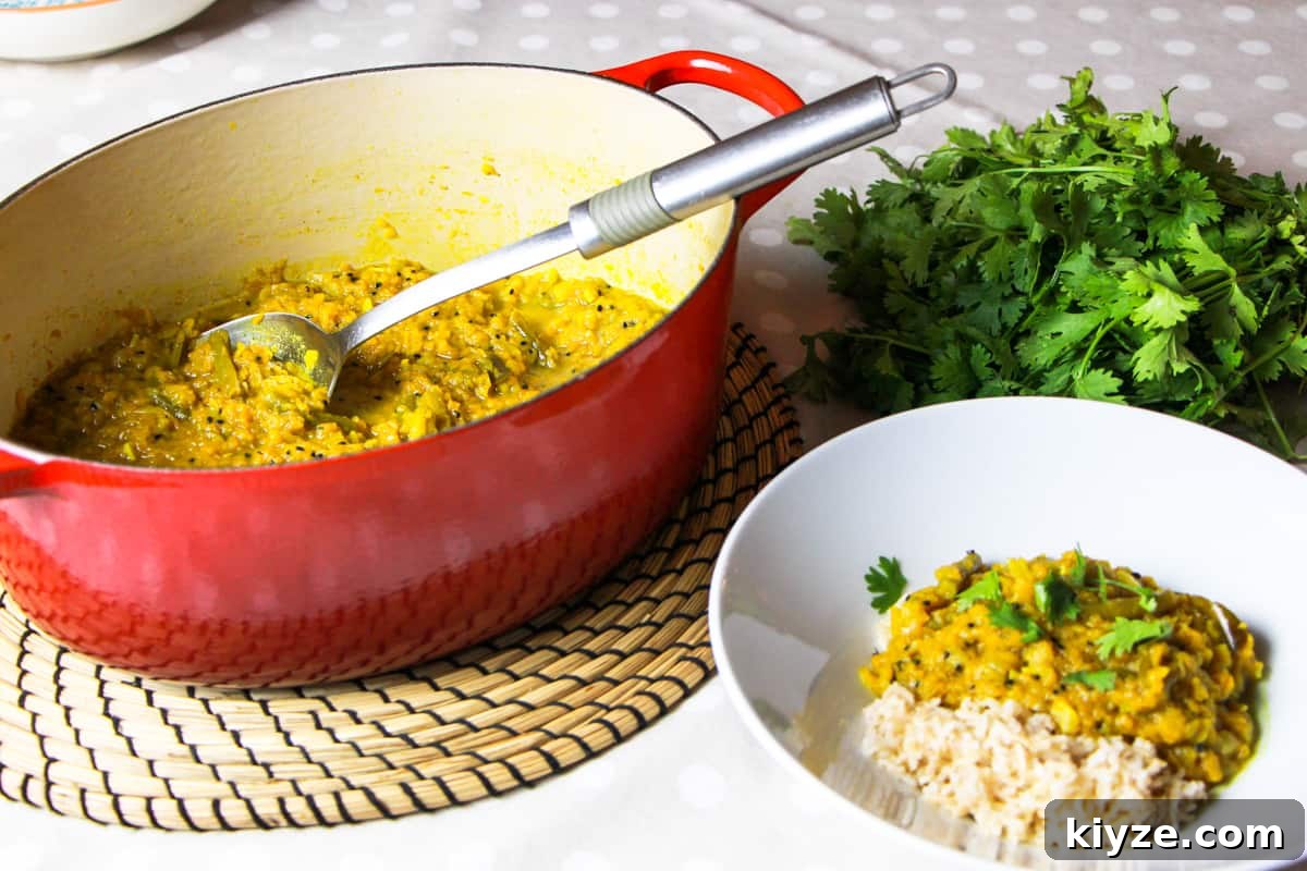 North Indian Pumpkin and Green Bean Curry (Vegan) 3 Photo of a big red pot of pumpkin and green bean curry with a portion served in a bowl with rice and a big bunch of green coriander (cilantro) in the corner.