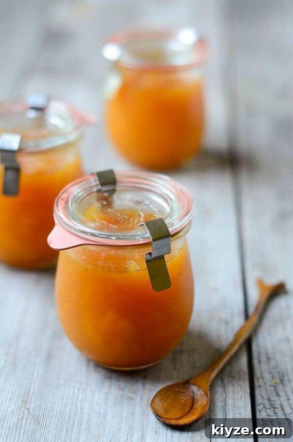 15 Irresistible Peach Recipes for Every Season 3 Peach Jam | butteredsideupblog.blogspot.com
