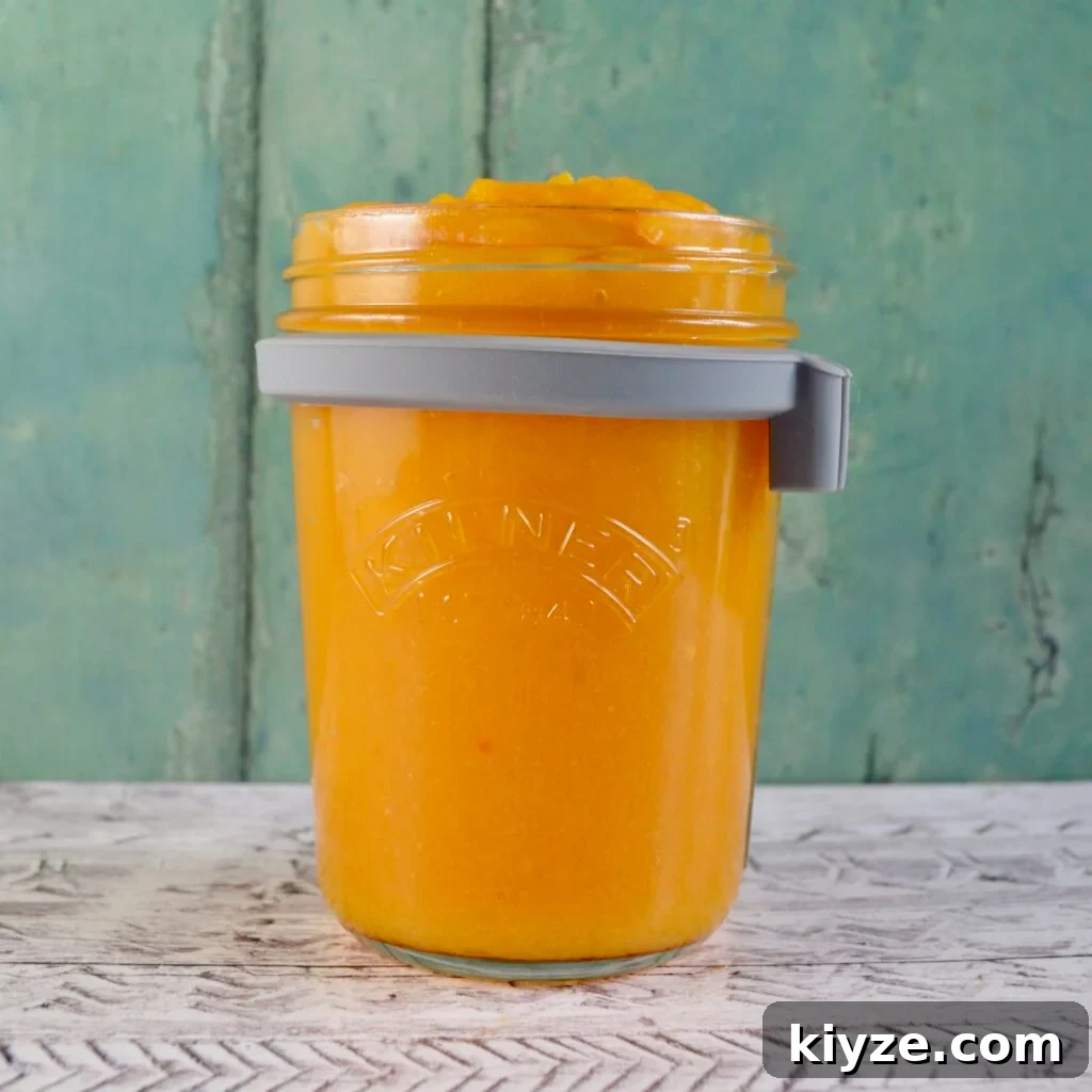 Top 10 Gluten and Dairy-Free Pumpkin Recipes for Fall Baking 2 pumpkin puree