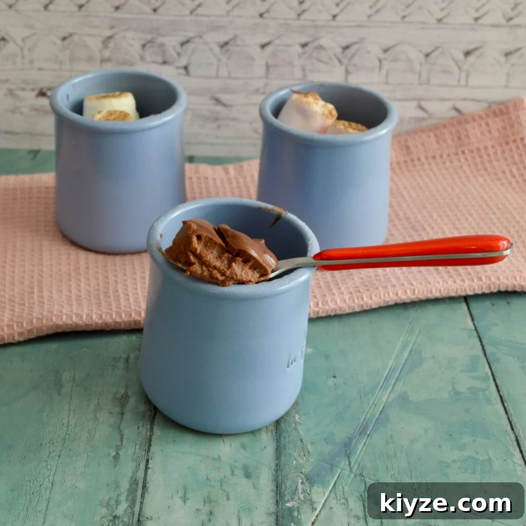 Top 10 Gluten and Dairy-Free Pumpkin Recipes for Fall Baking 11 pumpkin chocolate pudding