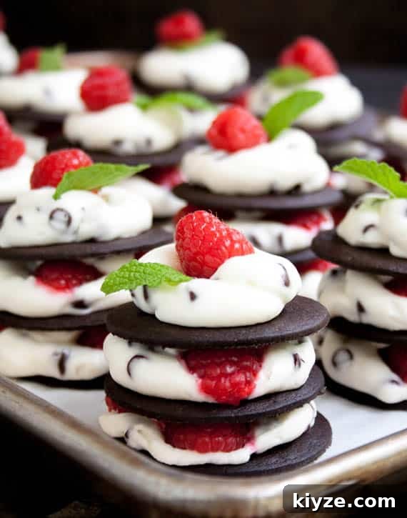 Ice Box Chocolate Chip Raspberry Cheesecake REV-8