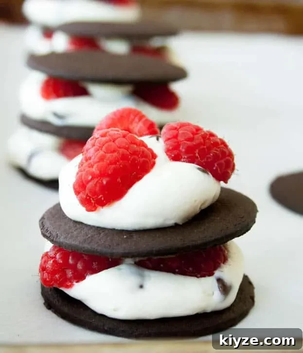 Ice Box Chocolate Chip Raspberry Cheesecake REV-2