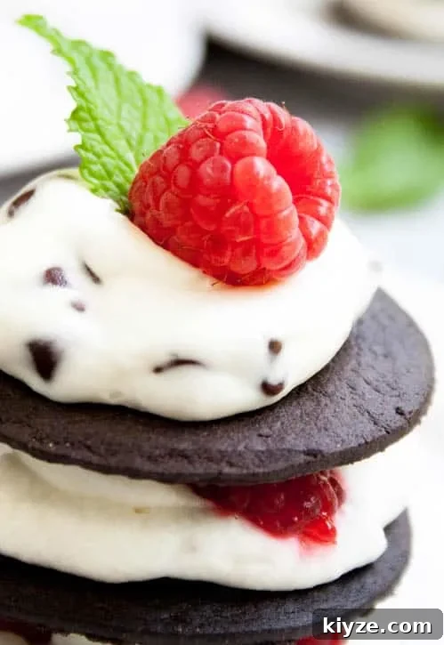 Ice Box Chocolate Chip Raspberry Cheesecake REV-6