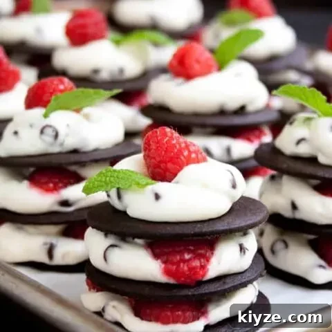 Ice Box Raspberry Chocolate Chip Cheesecake