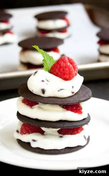 Ice Box Chocolate Chip Raspberry Cheesecake REV-3
