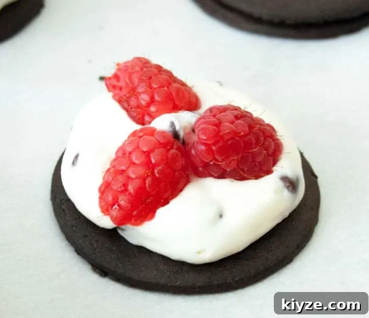 Ice Box Chocolate Chip Raspberry Cheesecake REV