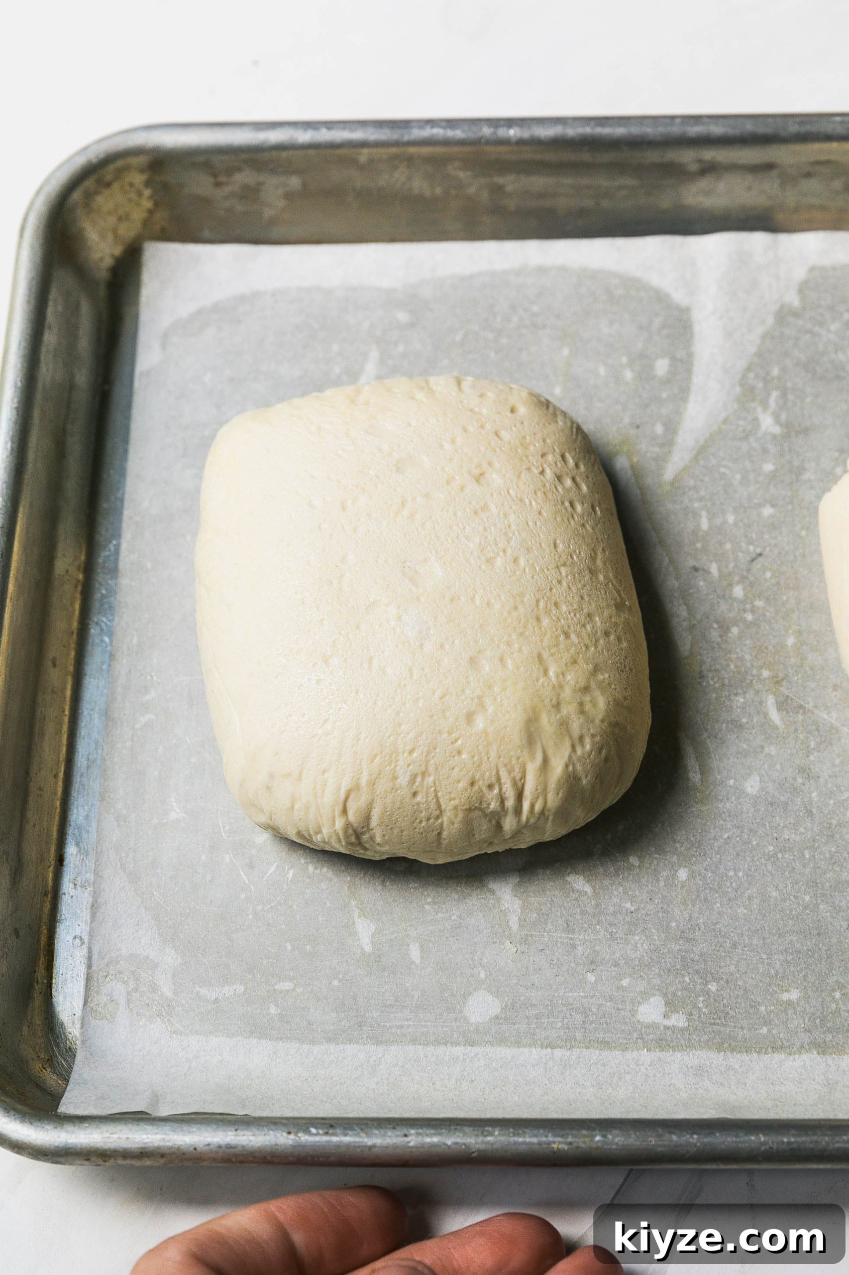 Roberta's Neapolitan-Style Pizza Dough Recipe for Perfect Crust 4 img 35869 3 scaled