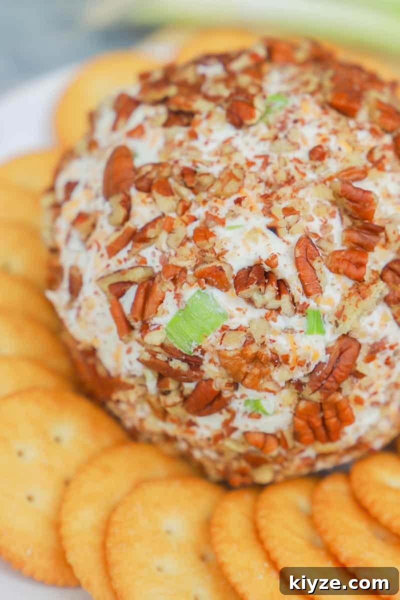 Classic Cheddar Cheese Ball Recipe for Parties & Holidays 5 Classic Cheese Ball with Ritz crackers closeup