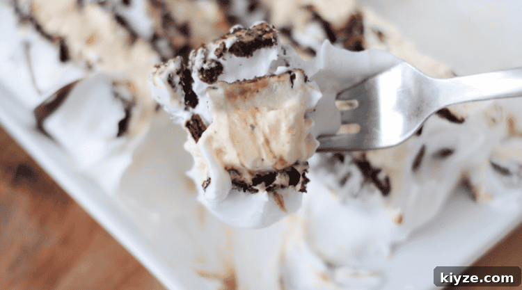 How to Make an Ice Cream Sandwich Cake (Video Tutorial) 4 fork with a bit of ice cream sandwich cake