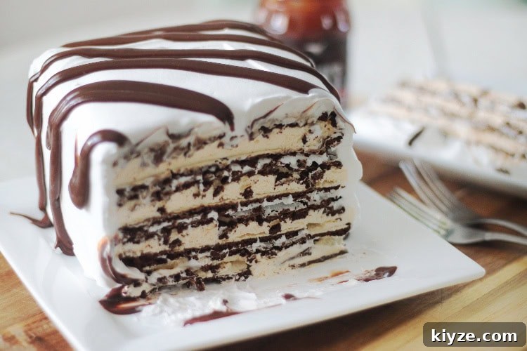 How to Make an Ice Cream Sandwich Cake (Video Tutorial) 5 sliced ice cream sandwich cake
