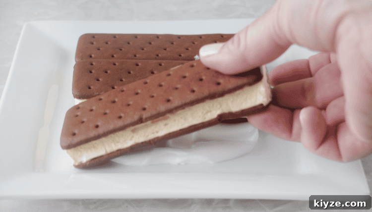 How to Make an Ice Cream Sandwich Cake (Video Tutorial) 6 ice cream sandwiches on platter with whipped cream
