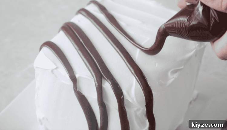 How to Make an Ice Cream Sandwich Cake (Video Tutorial) 8 bag of hot fudge drizzled over cake