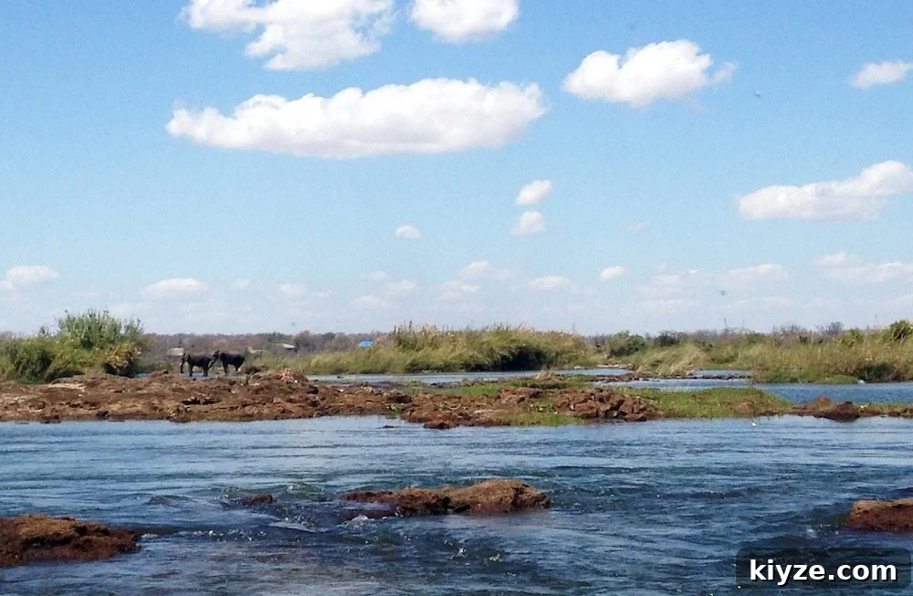 Victoria Falls Travel Guide: Top Things to See and Do on a Sunday in SA 10 img 3716 26