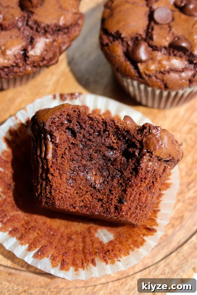 Fudgy Brownie Muffins Recipe: Chocolate Muffins with Gooey Centers 16 Fresh baked brownie muffins