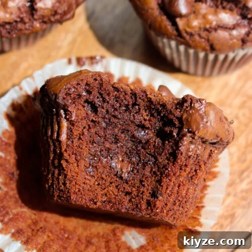 Fudgy Brownie Muffins Recipe: Chocolate Muffins with Gooey Centers 18 Brownie muffins