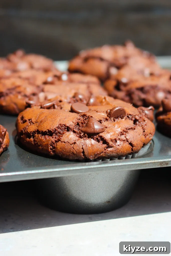 Fudgy Brownie Muffins Recipe: Chocolate Muffins with Gooey Centers 3 Close-up brownie muffin