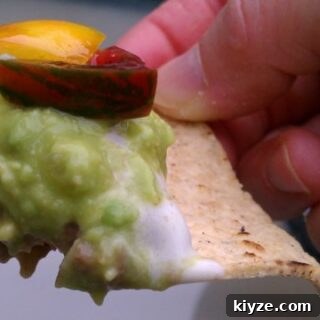No Shame Layer Dip